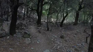 Rouvas Gorge  - CRETE