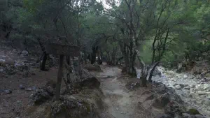 Rouvas Gorge  - CRETE