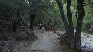 Rouvas Gorge  - CRETE