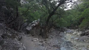 Rouvas Gorge  - CRETE