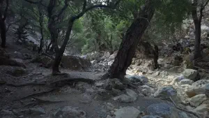 Rouvas Gorge  - CRETE