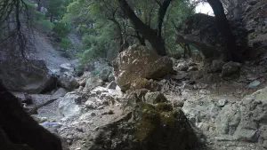 Rouvas Gorge  - CRETE