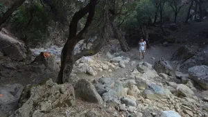 Rouvas Gorge  - CRETE