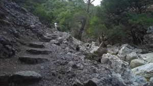 Rouvas Gorge  - CRETE