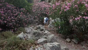 Rouvas Gorge  - CRETE