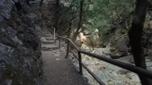 Rouvas Gorge  - CRETE