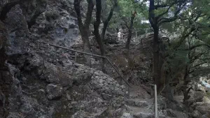Rouvas Gorge  - CRETE