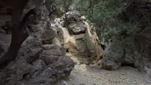 Rouvas Gorge  - CRETE