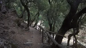 Rouvas Gorge  - CRETE