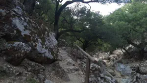 Rouvas Gorge  - CRETE