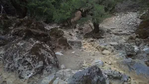 Rouvas Gorge  - CRETE