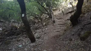 Rouvas Gorge  - CRETE