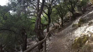 Rouvas Gorge  - CRETE
