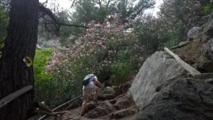 Rouvas Gorge  - CRETE