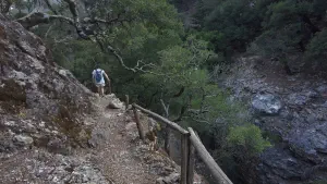 Rouvas Gorge  - CRETE