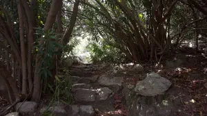 Rouvas Gorge  - CRETE