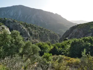 Rozas Gorge  - CRETE