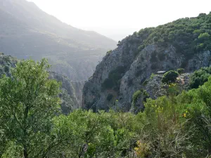 Rozas Gorge  - CRETE