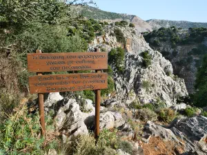 Rozas Gorge  - CRETE