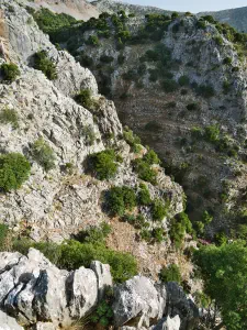 Rozas Gorge  - CRETE