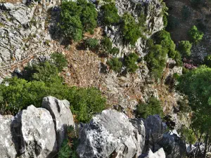 Rozas Gorge  - CRETE