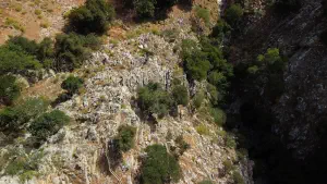 Rozas Gorge  - CRETE