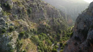 Rozas Gorge  - CRETE