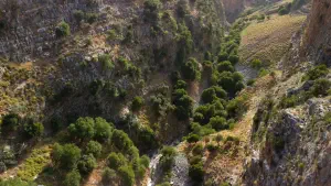 Rozas Gorge  - CRETE
