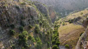 Rozas Gorge  - CRETE