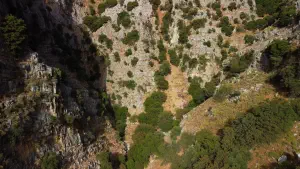 Rozas Gorge  - CRETE