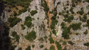 Rozas Gorge  - CRETE