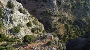 Rozas Gorge  - CRETE