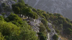 Rozas Gorge  - CRETE
