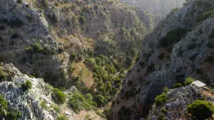 Rozas Gorge  - CRETE