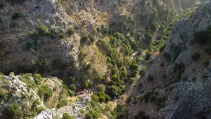 Rozas Gorge  - CRETE