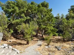Skotino (Agia Paraskevi) Cave  - CRETE
