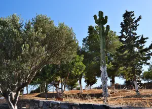 Skotino Agia Paraskevi Church  - CRETE