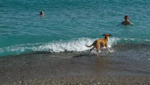 Skouros Beach  - CRETE