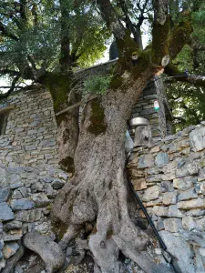 Timios Stavros Church  - CRETE