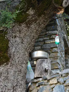 Timios Stavros Church  - CRETE