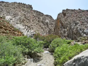 Trachoulas Gorge  - CRETE