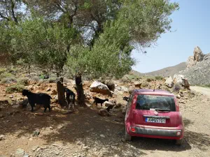 Trachoulas Gorge  - CRETE