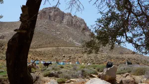 Trachoulas Gorge  - CRETE