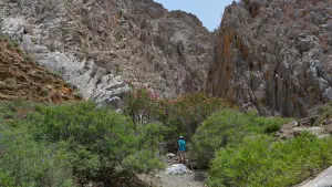 Trachoulas Gorge  - CRETE
