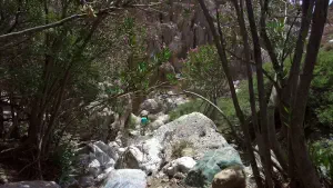 Trachoulas Gorge  - CRETE