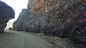 Trypiti Gorge  - CRETE