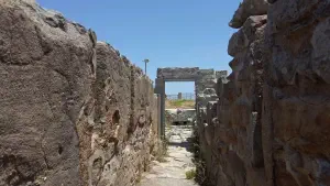 Tylissos Minoan Settlement  - CRETE