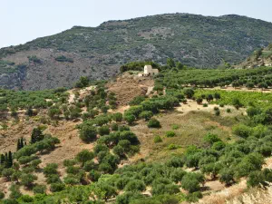 Vathypetro Minoan Settlement  - CRETE