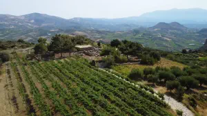 Vathypetro Minoan Settlement  - CRETE