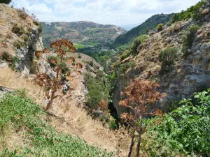 Venerato Gorge  - CRETE